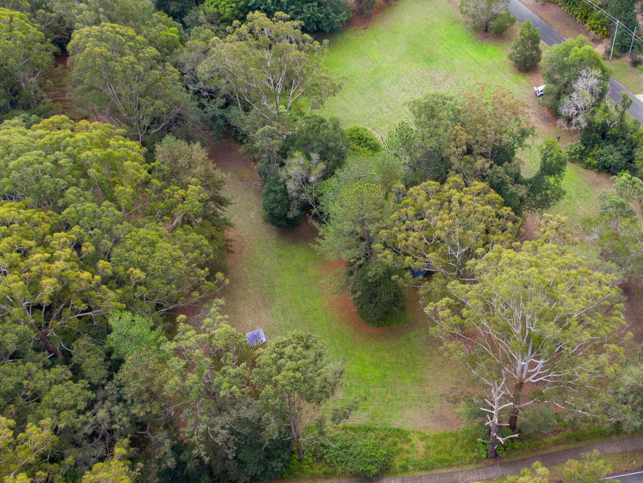 Peachester Park Landscape Concept Plan Have Your Say