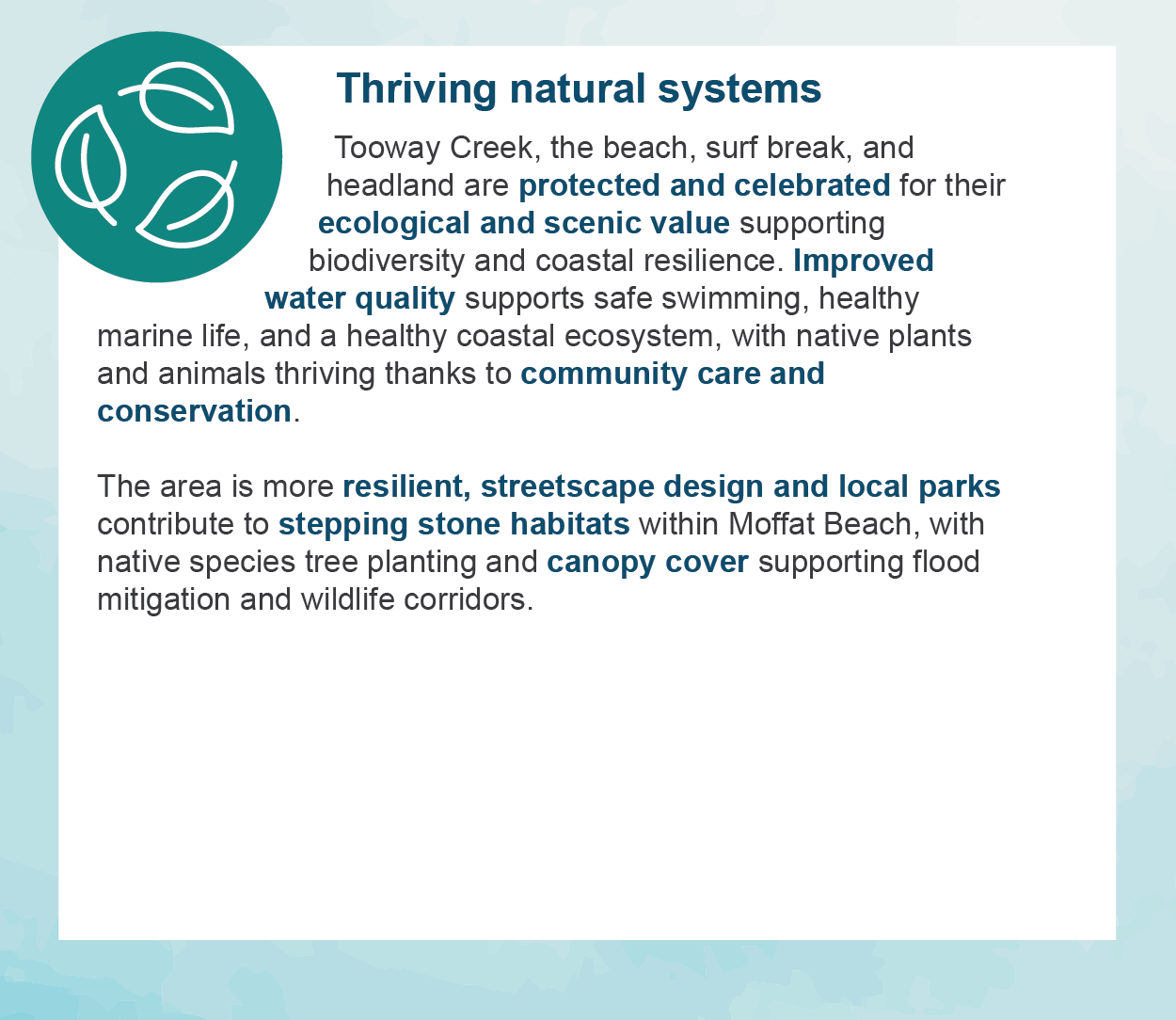 Thriving natural systems - Tooway Creek, the beach, surf break, and headland are protected and celebrated for their ecological and scenic value supporting biodiversity and coastal resilience. Improved water quality supports safe swimming, healthy marine life, and a healthy coastal ecosystem, with native plants and animals thriving thanks to community care and conservation.  The area is more resilient, streetscape design and local parks contribute to stepping stone habitats within Moffat Beach, with native species tree planting and canopy cover supporting flood mitigation and wildlife corridors.
