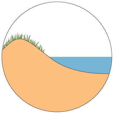 Shoreline system: seawall & beach nourishment 