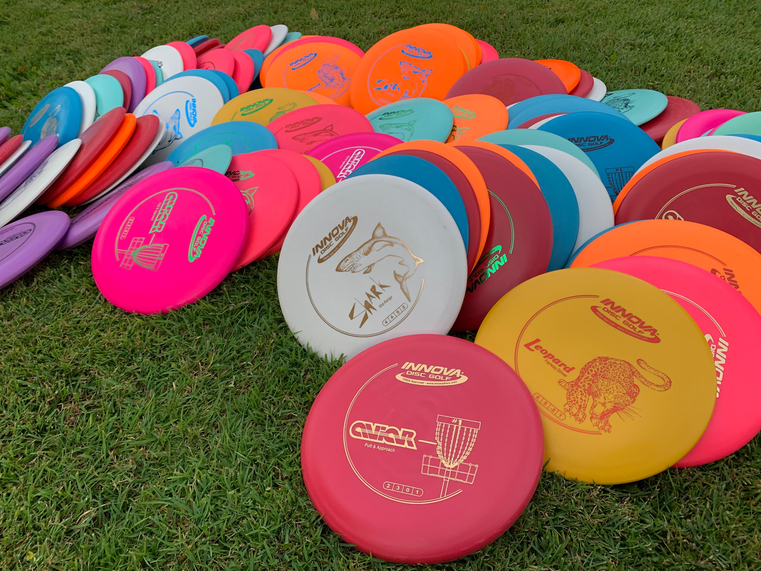 Meridan Downs Park Disc Golf Course Proposal Have Your Say