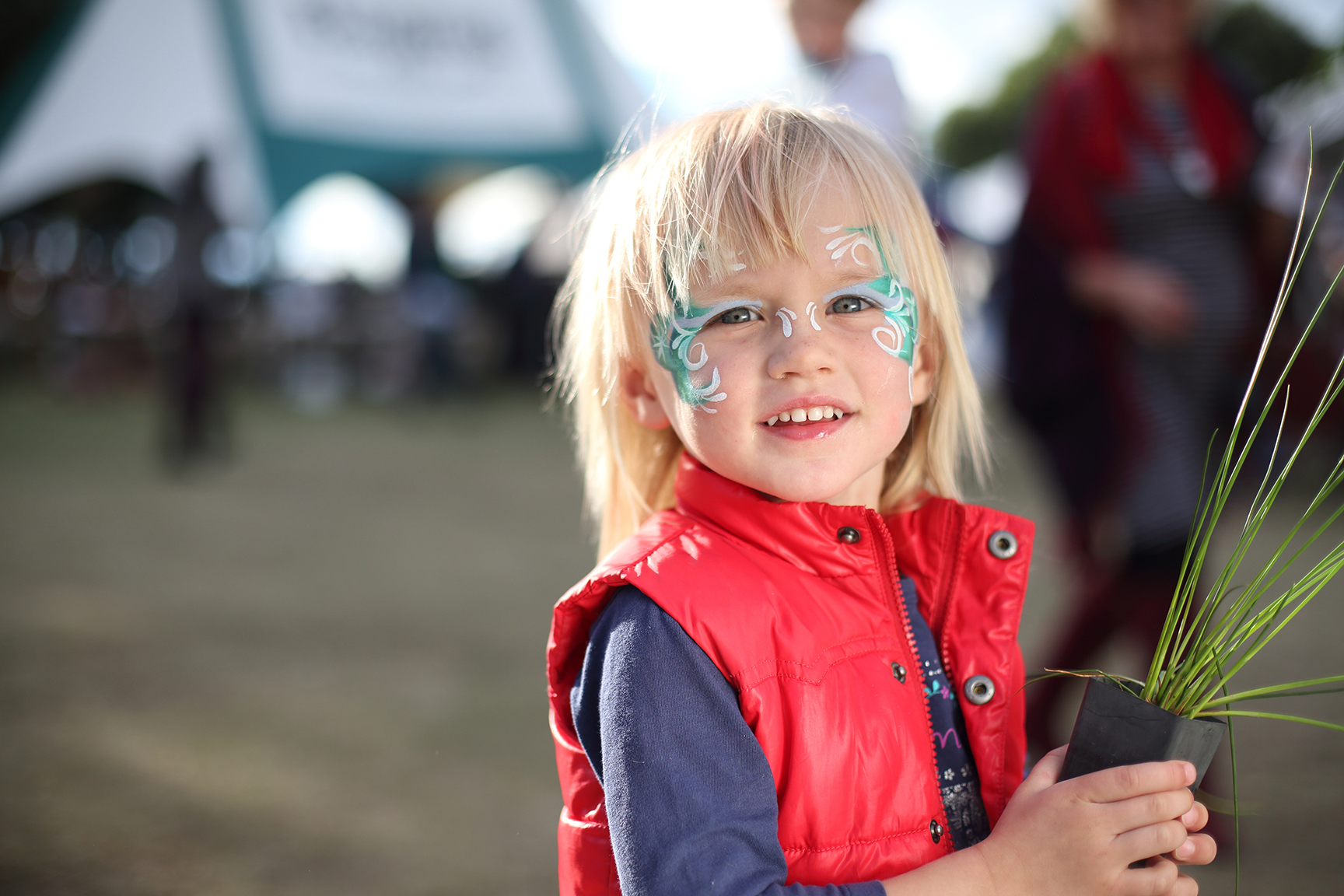 Community role and partnerships | Environment and Liveability Strategy ...